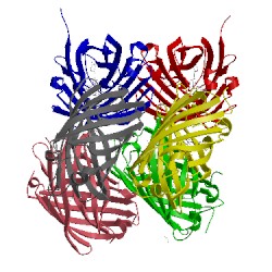 Image of CATH 4hqc