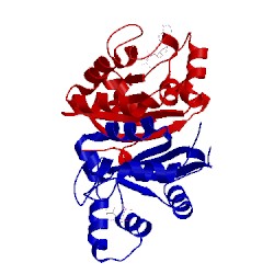Image of CATH 4hr2