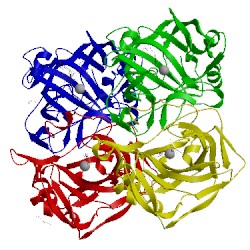 Image of CATH 4ht2