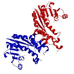 Image of CATH 4htf