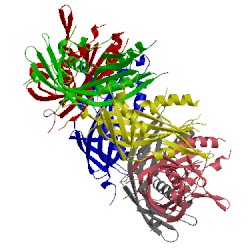 Image of CATH 4huh