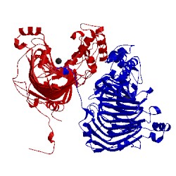 Image of CATH 4hwv