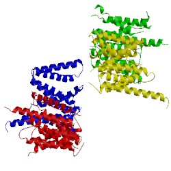 Image of CATH 4hyg