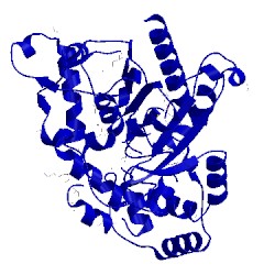 Image of CATH 4i19