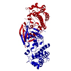 Image of CATH 4i24