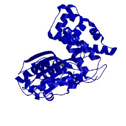 Image of CATH 4i2d