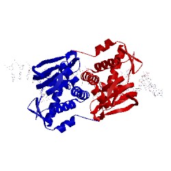 Image of CATH 4i2o