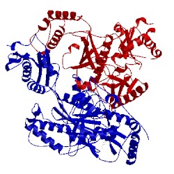 Image of CATH 4i2p