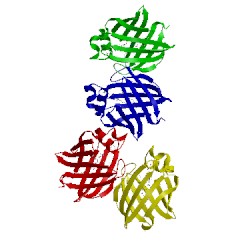 Image of CATH 4i3d