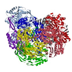 Image of CATH 4i3v