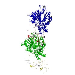Image of CATH 4i50