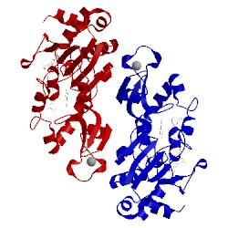 Image of CATH 4i5i