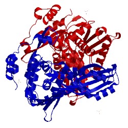 Image of CATH 4i6y