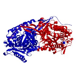 Image of CATH 4i8p