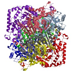 Image of CATH 4i9h