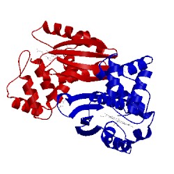 Image of CATH 4iam