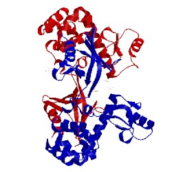 Image of CATH 4iap