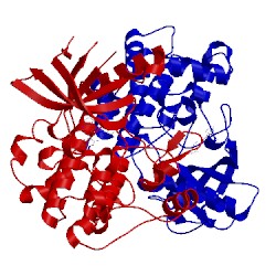 Image of CATH 4ibm