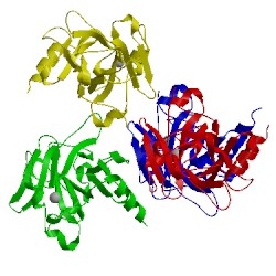 Image of CATH 4ibt