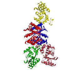 Image of CATH 4ibx