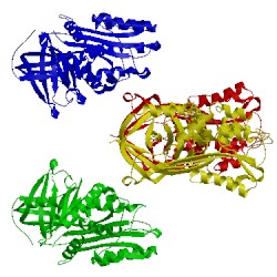 Image of CATH 4ic0