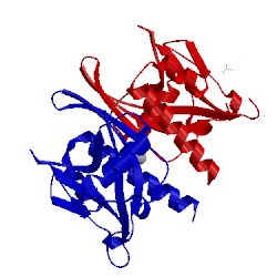 Image of CATH 4ick