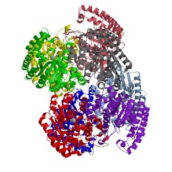 Image of CATH 4icm