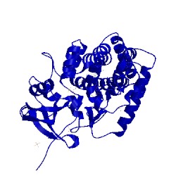 Image of CATH 4ict