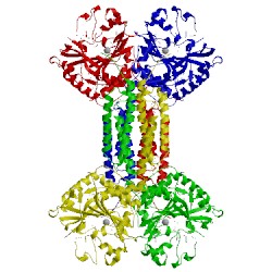 Image of CATH 4idp