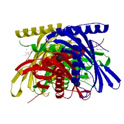 Image of CATH 4ien