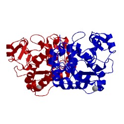 Image of CATH 4ifb