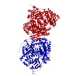 Image of CATH 4ifh