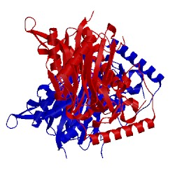 Image of CATH 4ihd