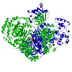 Image of CATH 4ii3