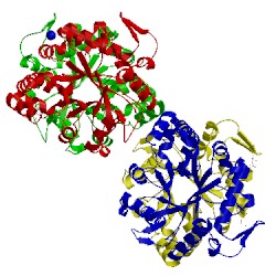 Image of CATH 4iis