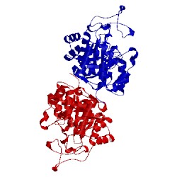 Image of CATH 4ijc
