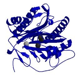 Image of CATH 4iku