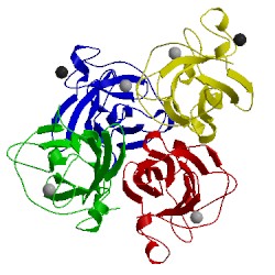 Image of CATH 4ilt