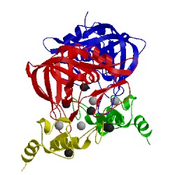 Image of CATH 4ilw