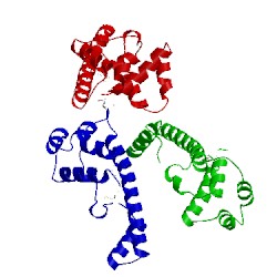 Image of CATH 4im9