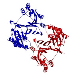 Image of CATH 4imh
