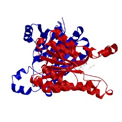 Image of CATH 4imr