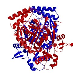 Image of CATH 4imt