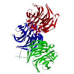 Image of CATH 4in4