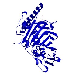 Image of CATH 4inq