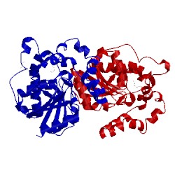 Image of CATH 4inz