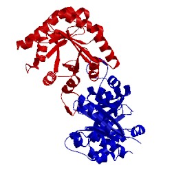 Image of CATH 4iot