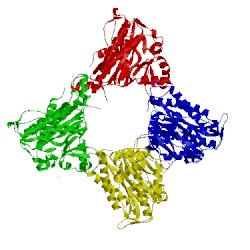 Image of CATH 4ipa