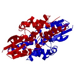 Image of CATH 4iqa