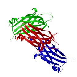 Image of CATH 4iqh